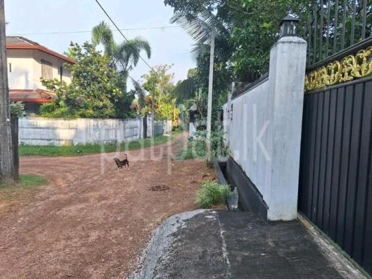 premium-listing-image