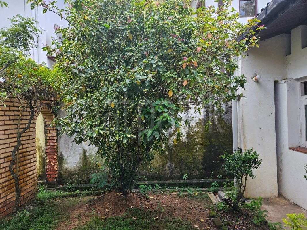  Land for Sale in Wellawatta (Colombo 06)