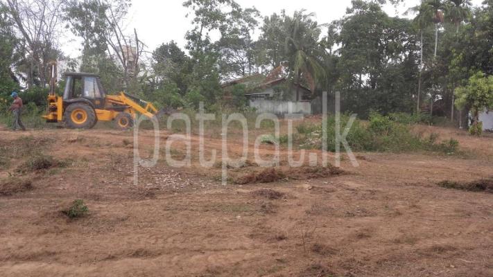 premium-listing-image