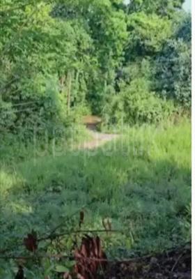 Agricultural Land for Sale in Kegalle