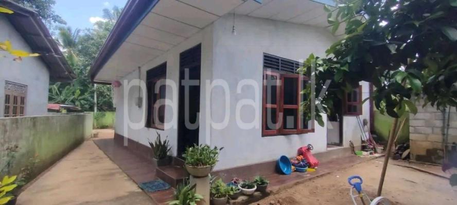 premium-listing-image