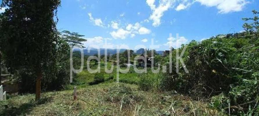 premium-listing-image