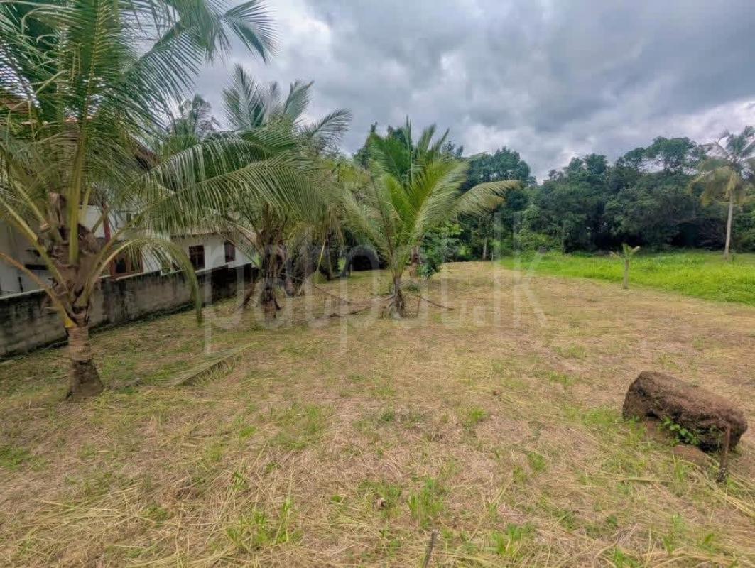 Residential Land for Sale in Veyangoda