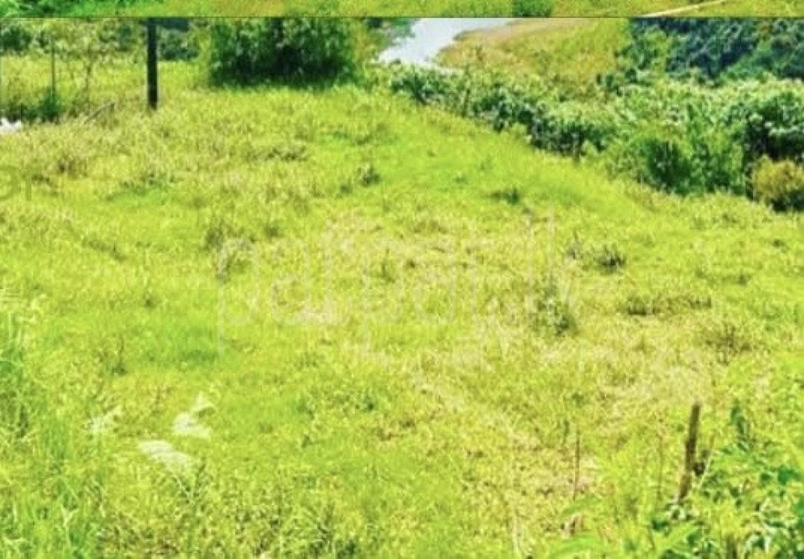 Agricultural Land for Sale in Nuwara Eliya