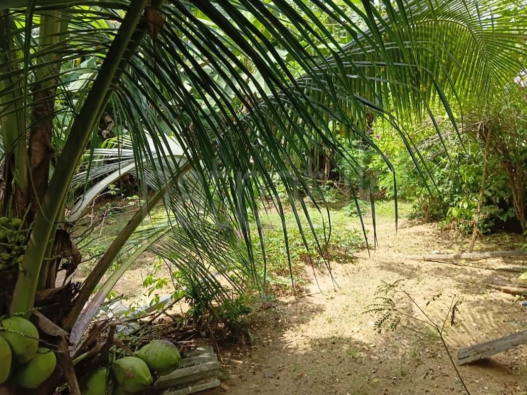Agricultural Land for Sale in Lewella