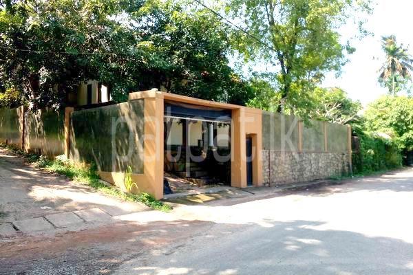 premium-listing-image