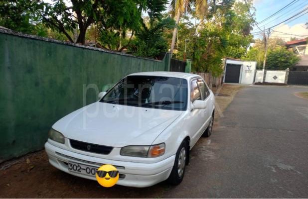 Toyota Corolla 1996
