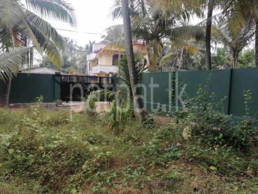 premium-listing-image