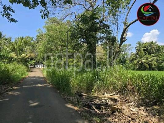 premium-listing-image