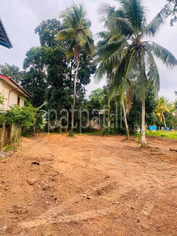 Agricultural Land for Sale in Athurugiriya