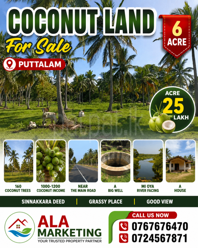 Agricultural Land for Sale in Puttalam