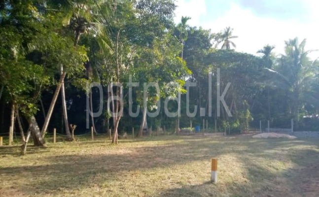 premium-listing-image