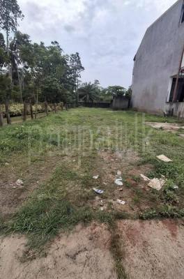 Agricultural Land for Sale in Panadura