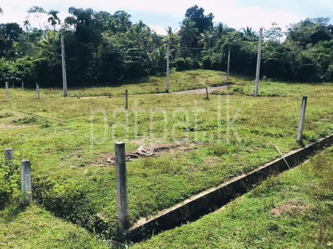 Agricultural Land for Sale in Dodangoda