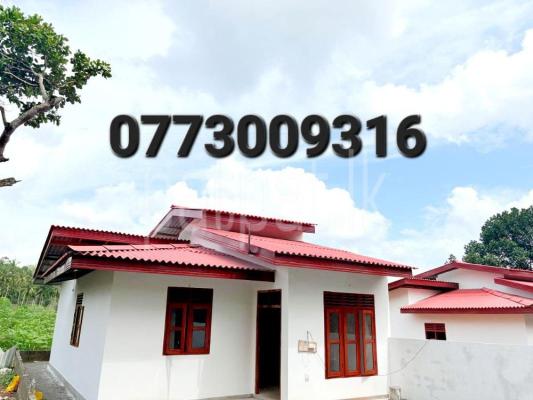 premium-listing-image