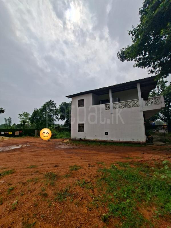 Commercial Land for Sale in Dambulla