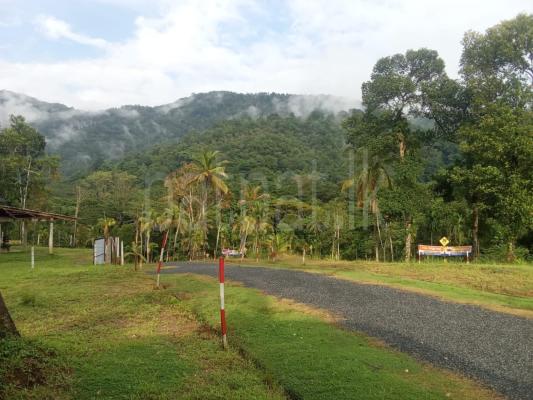Commercial Land for Sale in Galagedara