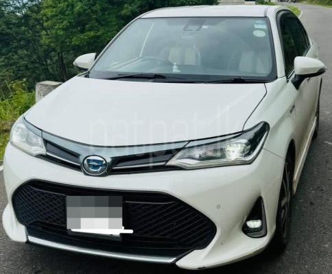Toyota Axio 2018 - Used Car sale in Sri Lanka - patpat.lk