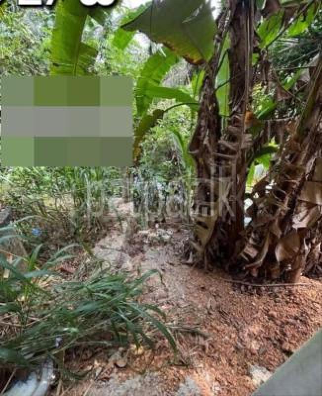 House for Sale in Kirindiwela