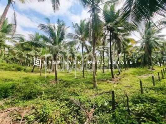 Residential Land for Sale in Kirindiwela