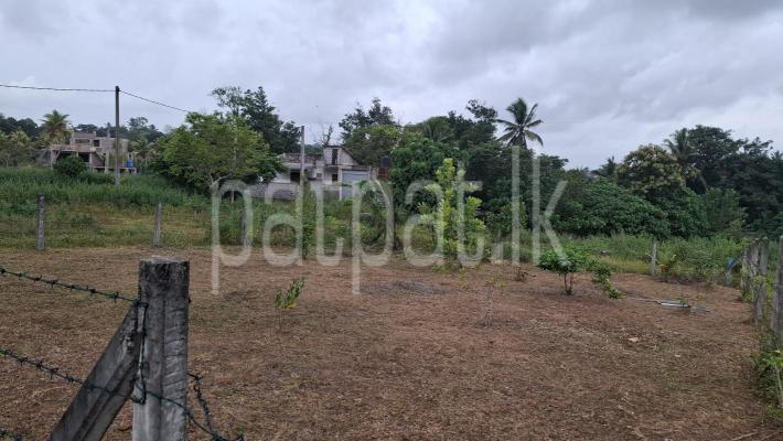 premium-listing-image