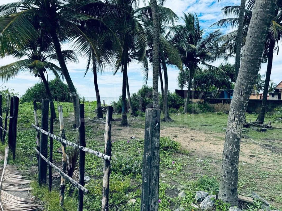 Residential Land for Sale in Negombo