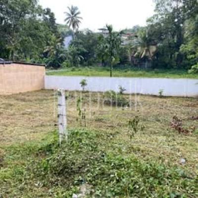 premium-listing-image