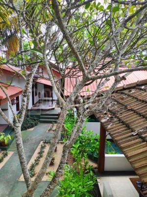 Hotel for Sale in Dikwella