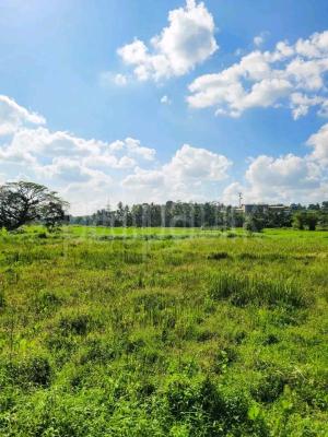 premium-listing-image