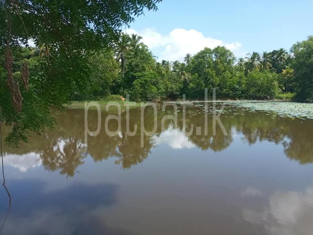 Agricultural Land for Sale in Hettipola