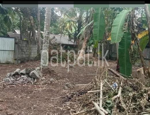 premium-listing-image