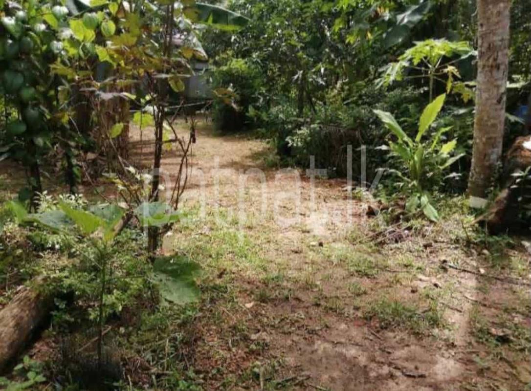 Residential Land for Sale in Athurugiriya