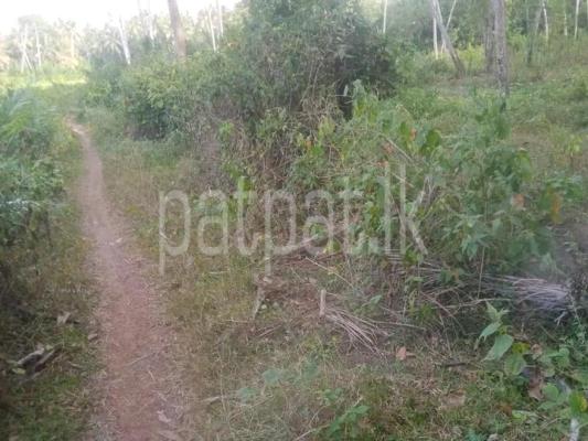 premium-listing-image