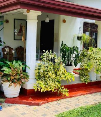 premium-listing-image