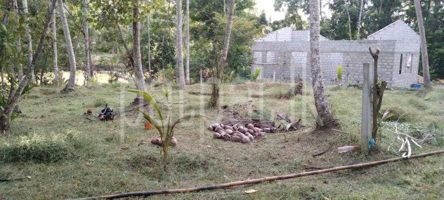 Residential Land for Sale in Divulapitiya