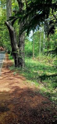 Residential Land for Sale in Sella Kataragama