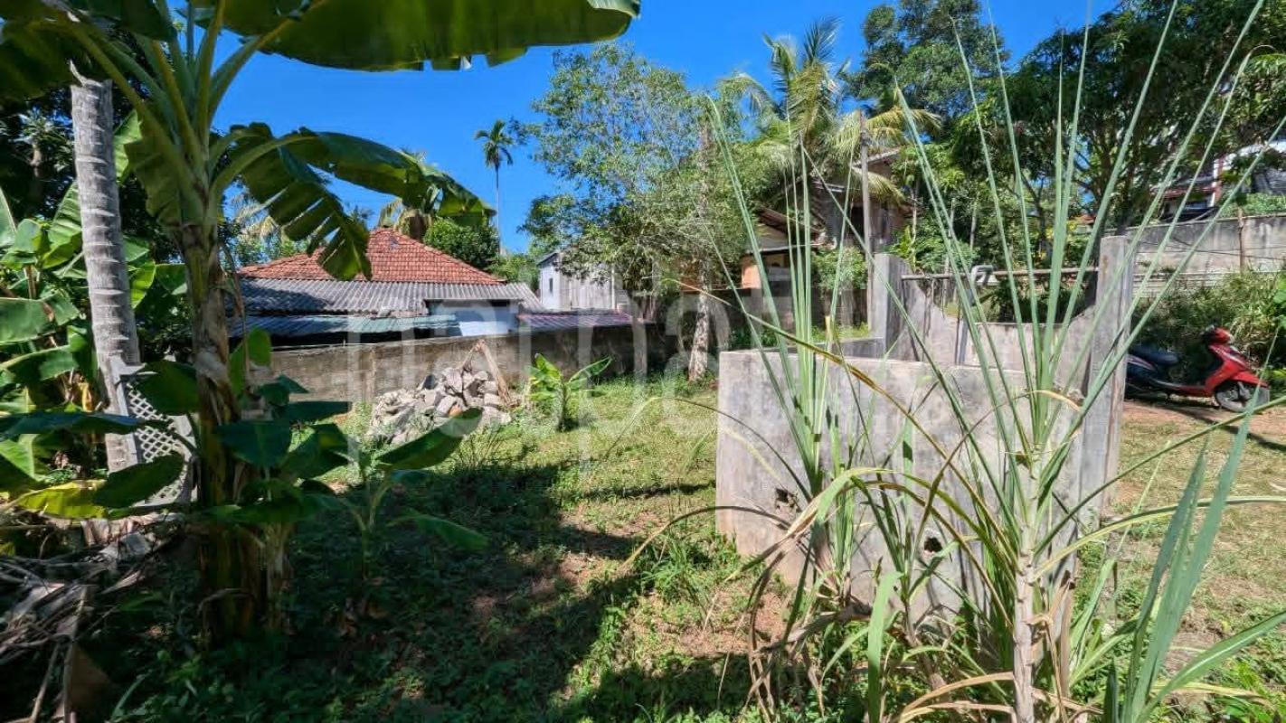 Residential Land for Sale in Ragama