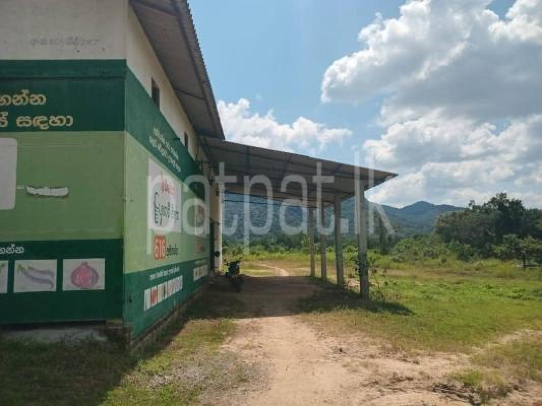 Agricultural Land for Sale in Polonnaruwa