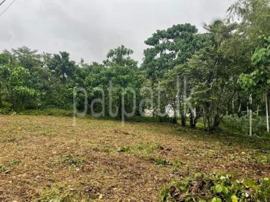 premium-listing-image