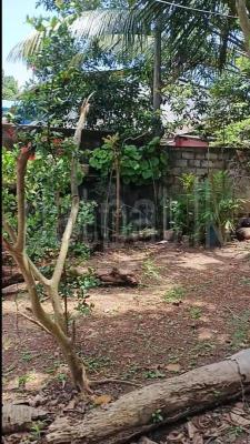 premium-listing-image