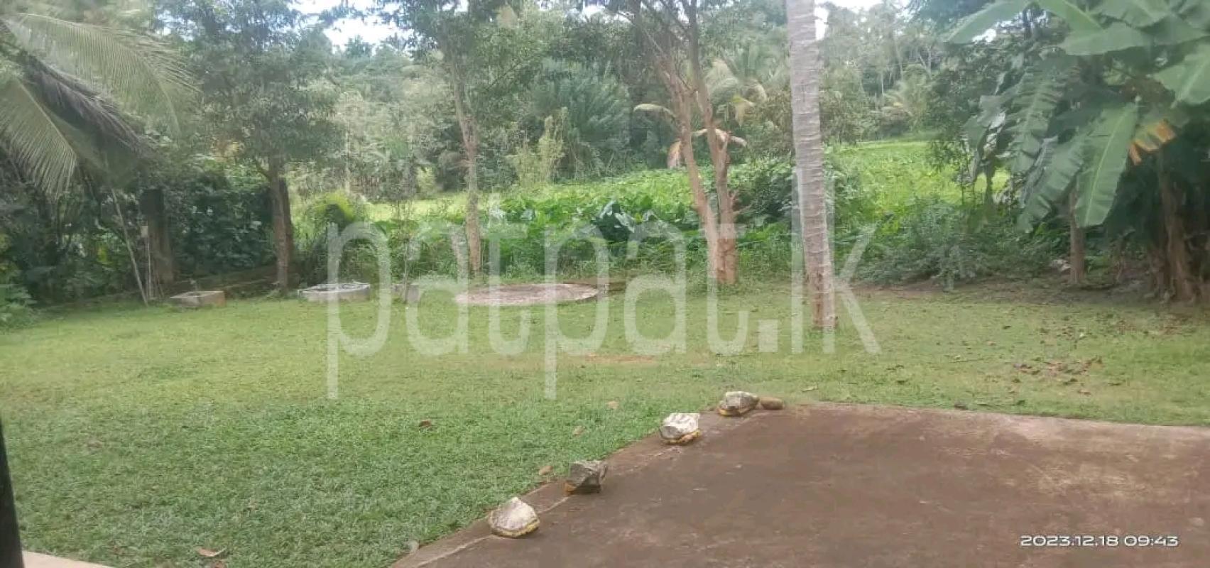 Residential Land for Sale in Veyangoda