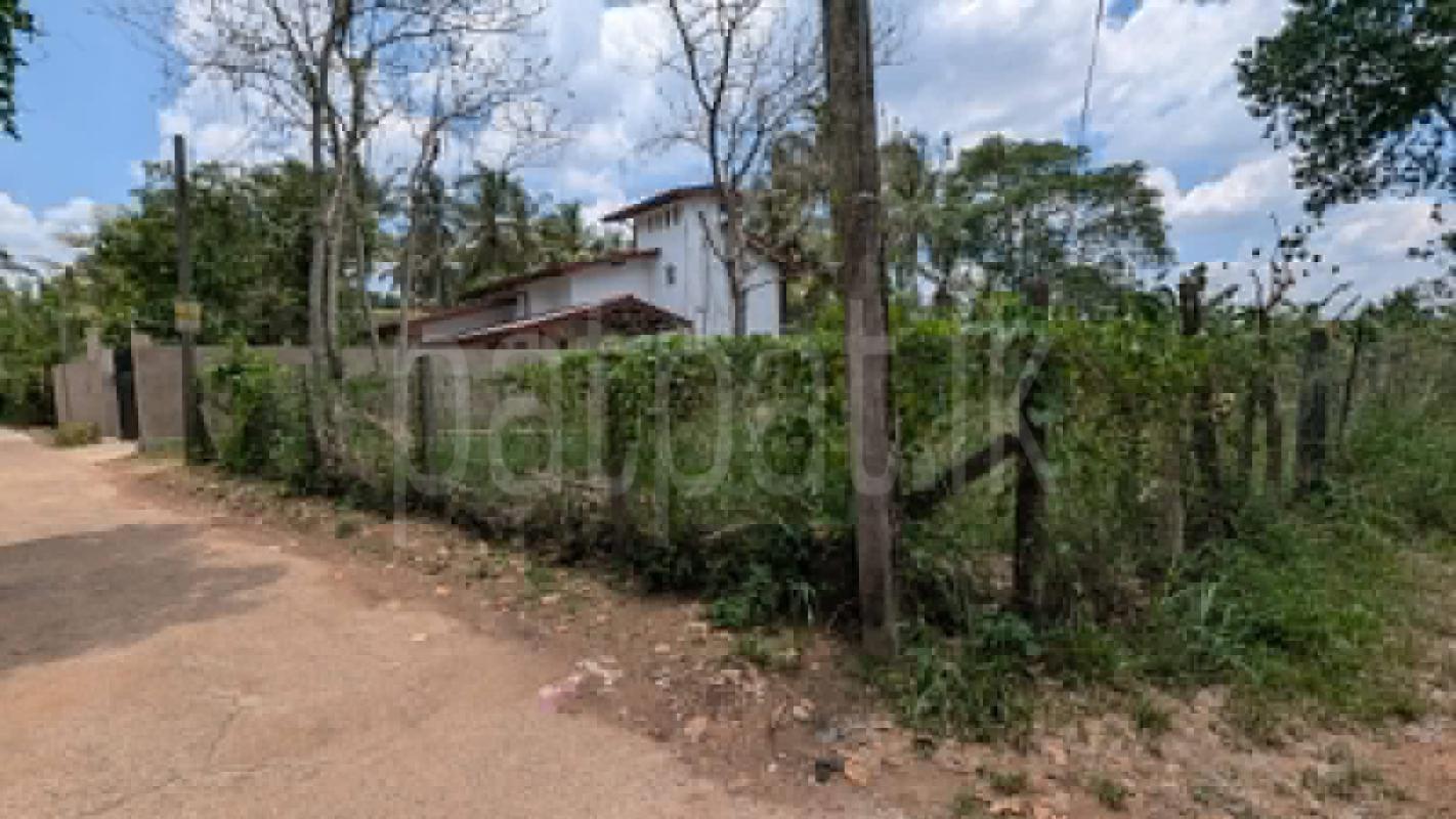 Residential Land for Sale in Gampaha