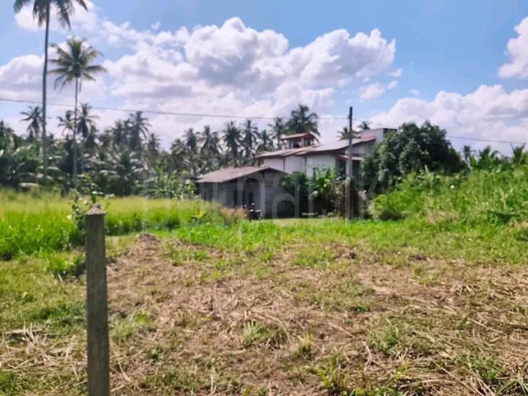 Advertisement image 6