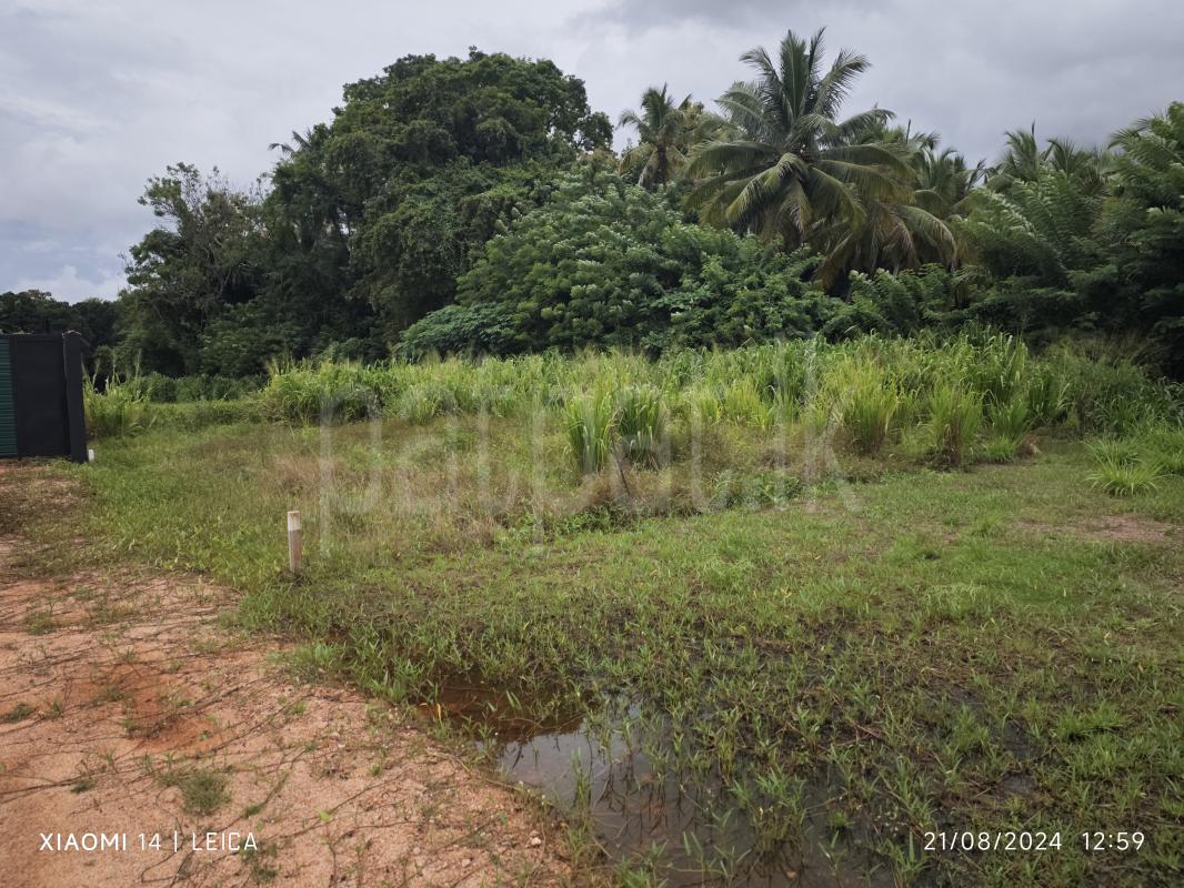 Residential Land for Sale in Kurunegala ads-image-1