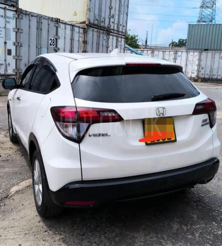 Advertisement image 3