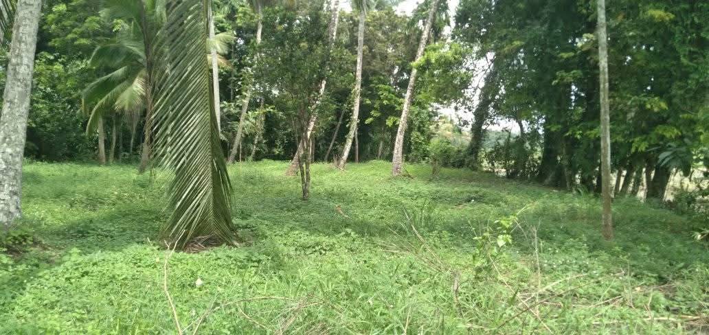 Commercial Land for Sale in Veyangoda
