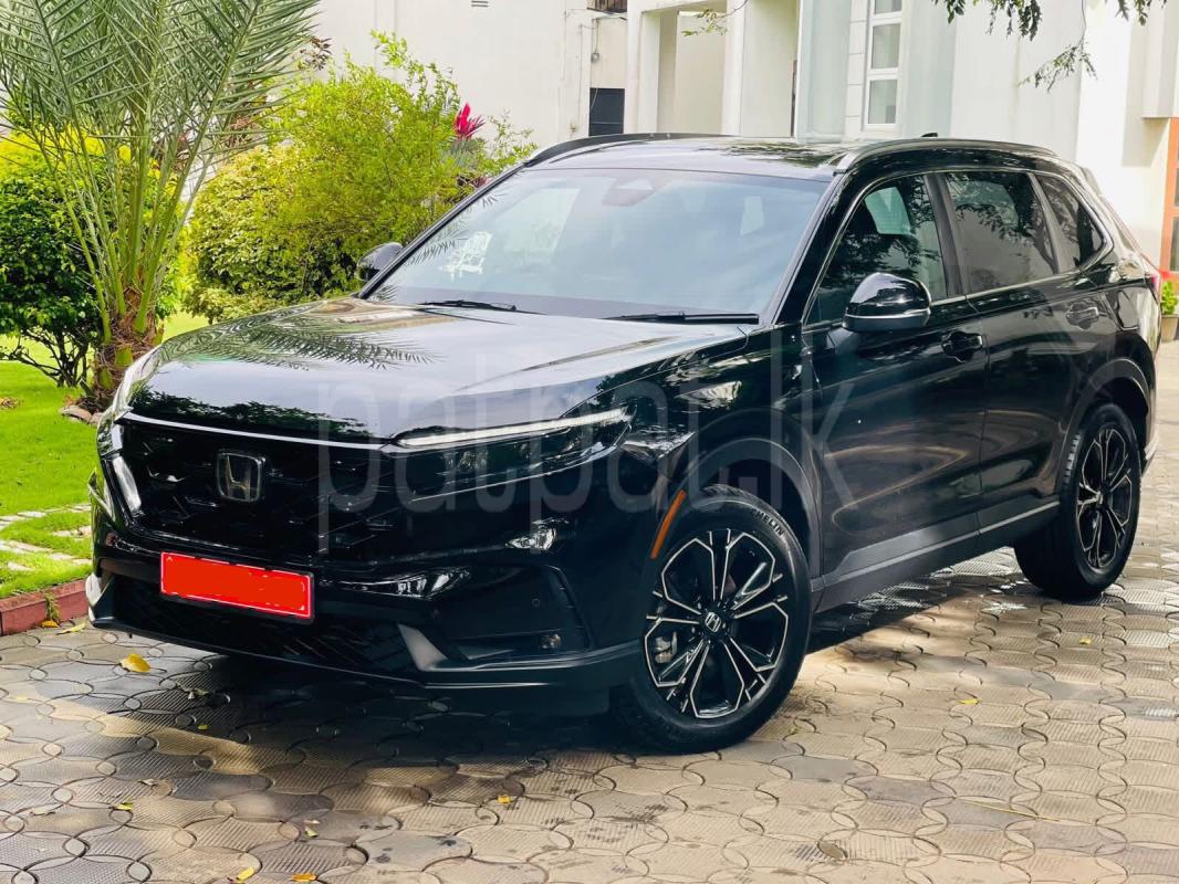 Advertisement image 1