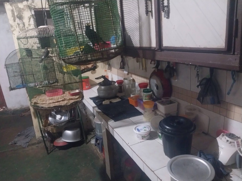 Advertisement image 5