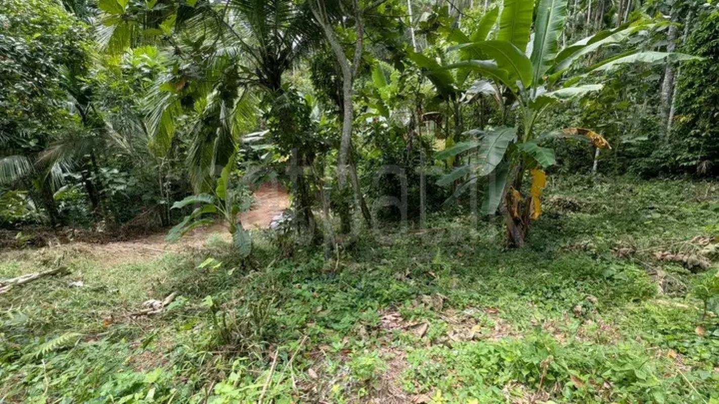 Commercial Land for Sale in Warakapola