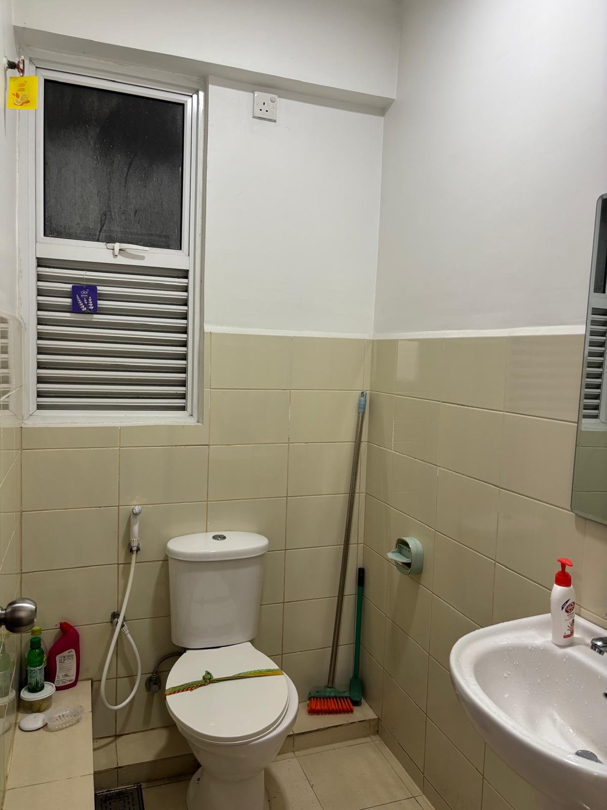 Furnished Apartment for Rent in Slave Island (Colombo 02)